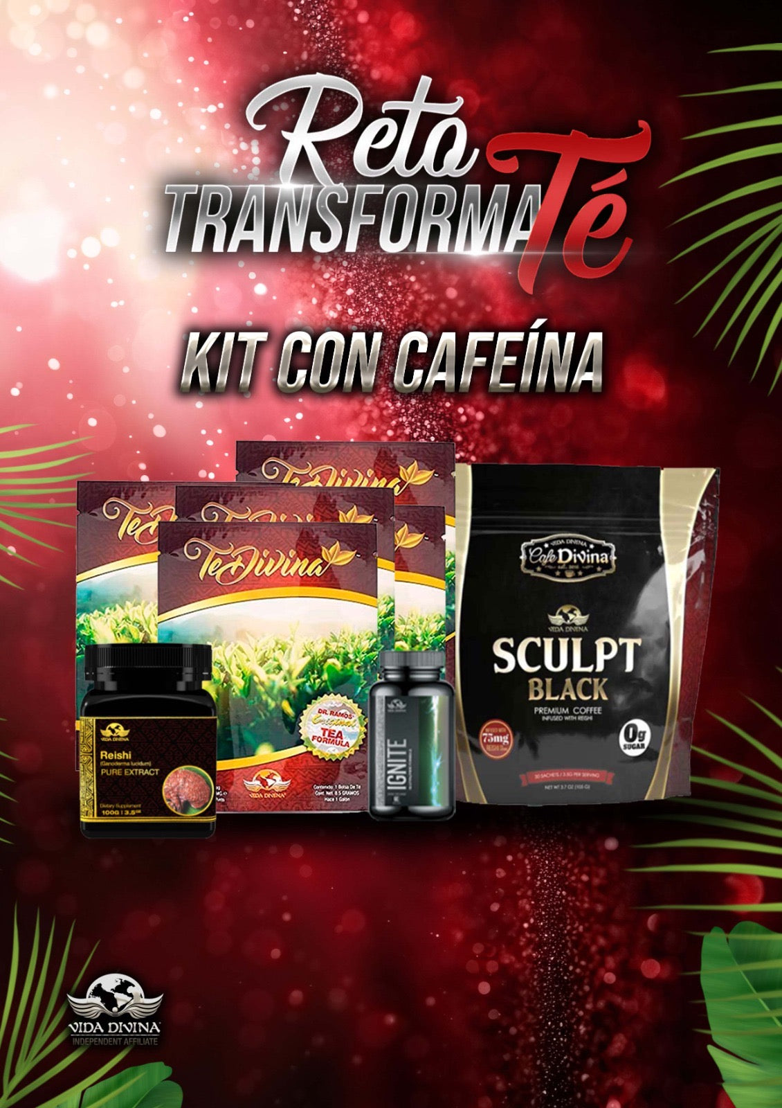 TRANSFORME BÁSICO CON CAFEÍNA