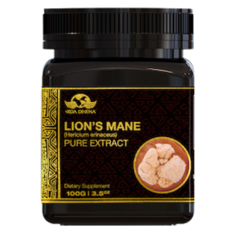 Lion's Mane Pure Extract